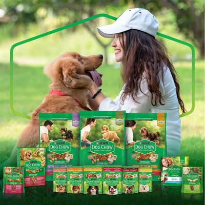 Ração Úmida Nestlé Purina Dog Chow Sachê Carne para Cães Adultos - Imagem 5