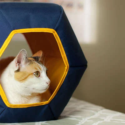 Toca Mundi Gatton Azul para Gatos - Imagem 3
